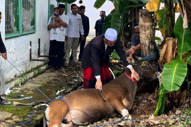 Semangat Berkurban IAIN Palopo di Perayaan Idul Adha Tahun Ini