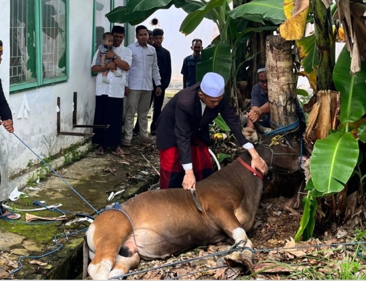 Semangat Berkurban IAIN Palopo di Perayaan Idul Adha Tahun Ini