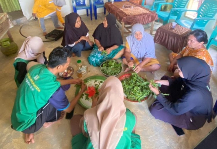 Mahasiswa KKN IAIN Palopo Dampingi Warga Padangkalua Produksi Kripik Bayam