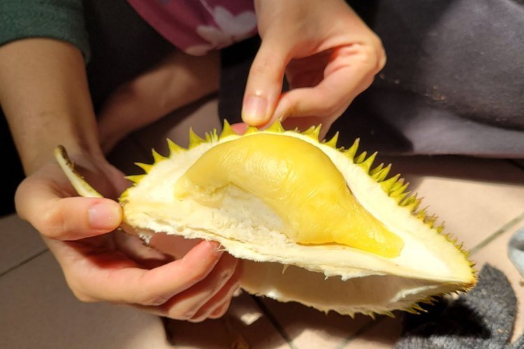 Ramadhan Di Musim Durian