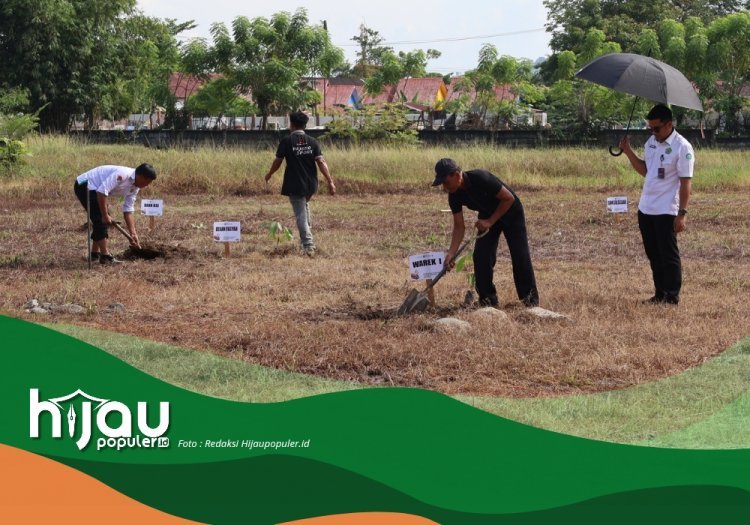 Gerakan Nasional, IAIN Palopo Ikut Tanam Pohon Matoa: Wujud Cinta Lingkungan dan Spiritualitas