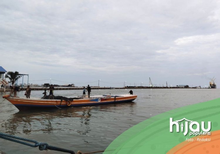 Ekonomi Palopo Tanpa Akar, Paradoks Pembangunan di Atas Langit