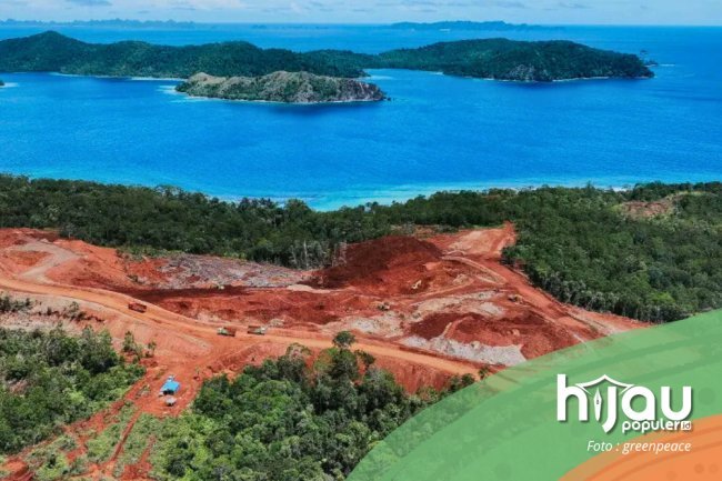 Perlawanan Ekologis Kolonialisme Gaya Baru di Tanah Papua, Aktivis Setempat Angkat Suara