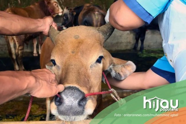 Kurban dan Ekonomi Umat; Refleksi Idul Adha Penuh Makna