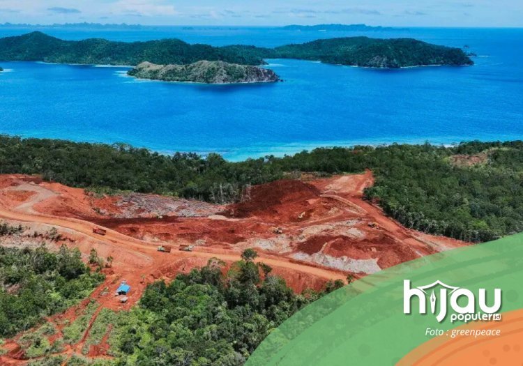Perlawanan Ekologis Kolonialisme Gaya Baru di Tanah Papua, Aktivis Setempat Angkat Suara