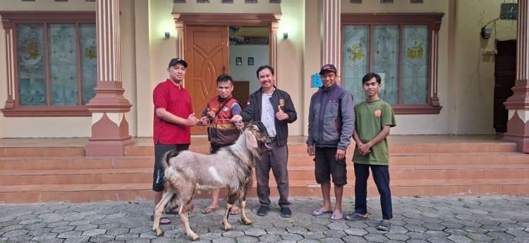 Indahnya Toleransi, Rektor dan Ketua DWP IAKN Toraja Serahkan Hewan Kurban