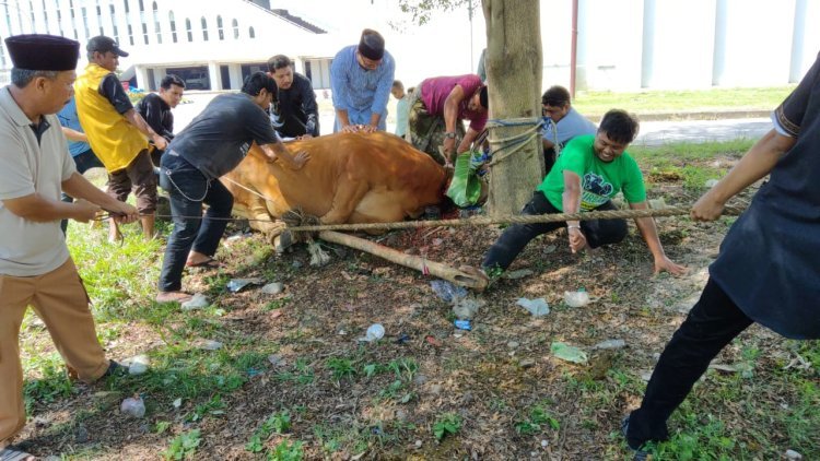 LAZISNU Sulsel Gelar Program Qurban Memberdayakan, Salurkan ke Masyarakat Kurang Mampu