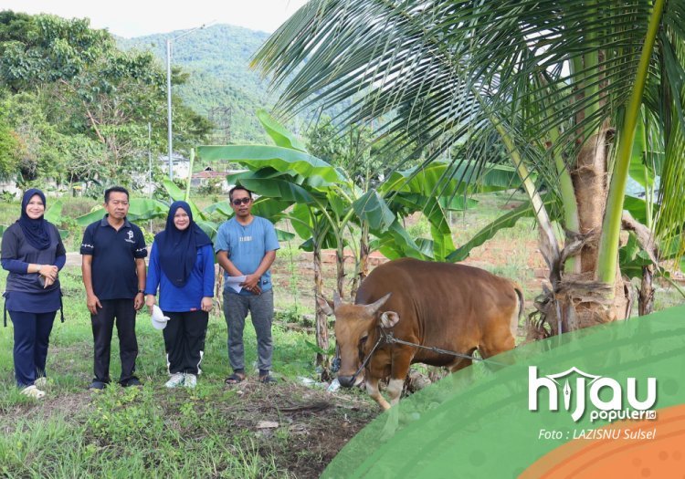 FEBI UIN Palopo Sembelih Sapi Kurban, Wujud Kepedulian dan Kebersamaan
