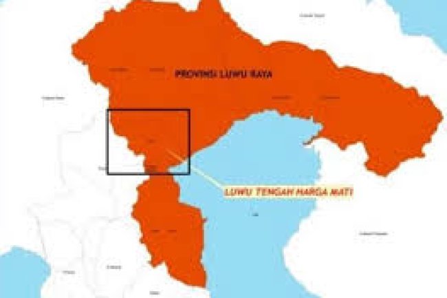 Mengapa Provinsi Tana Luwu Mendesak? Potensi Ekonomi dan Keadilan Historis