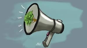 Kerusakan Lingkungan dan Sunyi Suara Legislatif Daerah