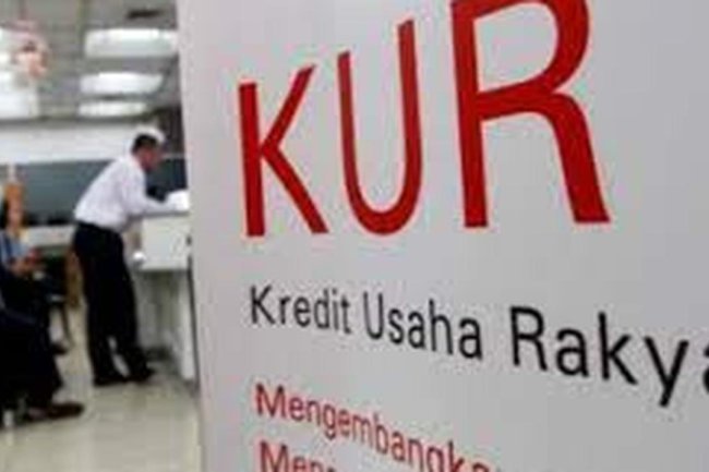 Dari Modal Mikro ke Dampak Makro, Kisah Kredit Usaha Rakyat di Palopo