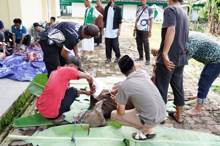 Iduladha 1447 H, UIN Palopo Distribusikan Daging Kurban untuk Pegawai dan Warga Sekitar