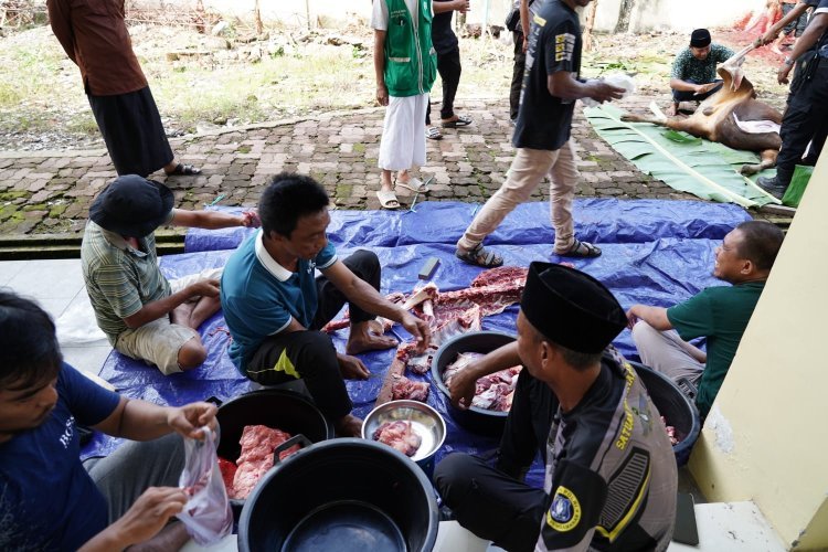 Iduladha 1447 H, UIN Palopo Distribusikan Daging Kurban untuk Pegawai dan Warga Sekitar