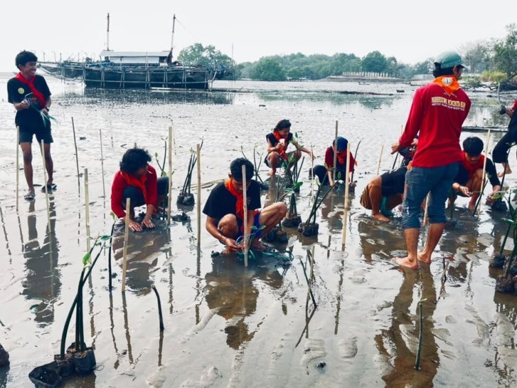 Dari Bahasa Wotu hingga Kurikulum OBE, Ini Kiprah UIN Palopo sepanjang Oktober 2026